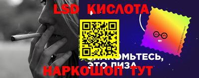гидропоника Шебекино