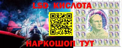 гидропоника Шебекино