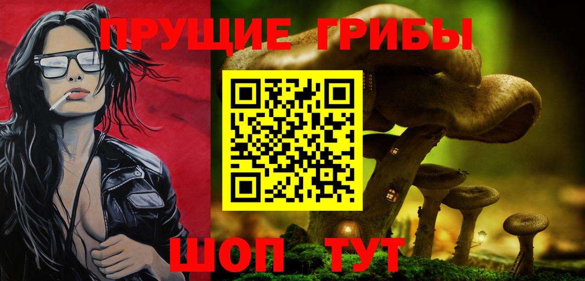 Псилоцибиновые грибы прущие грибы  Вход с VPN  Бор 