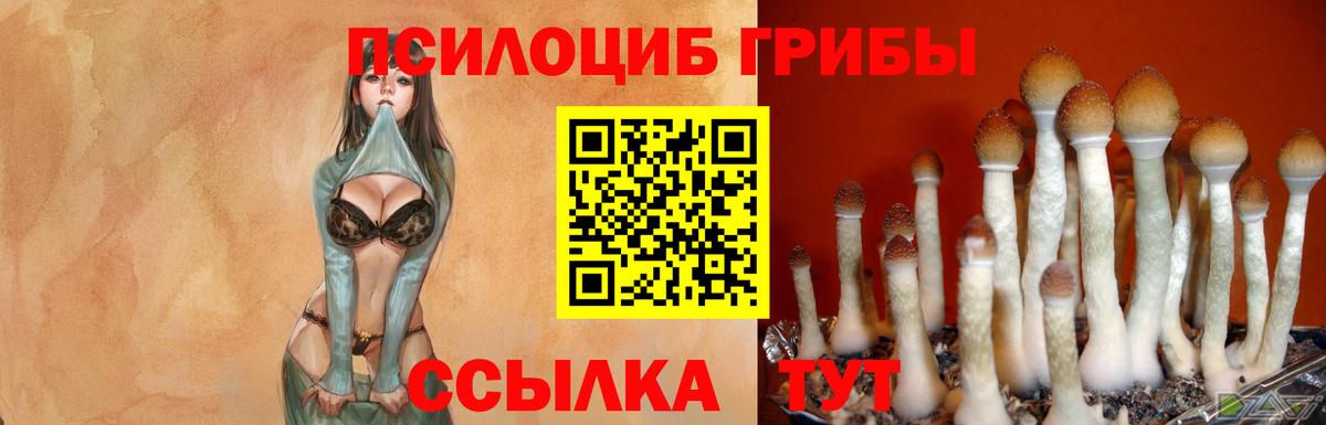 Галлюциногенные грибы Magic Shrooms Бор